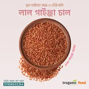laal gainga chaal